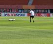 Antrenament oficial Austria // foto: Cezar Titor (GSP)