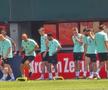 Antrenament oficial Austria // foto: Cezar Titor (GSP)