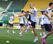 Antrenamentul oficial al echipei naţionale la Viena FOTO: Ionuţ Iordache (GSP)