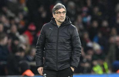 De la retrogradare în Premier League, direct în Liga Campionilor! Clubul din Serie A a bătut palma cu noul antrenor