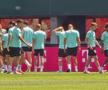 Antrenament oficial Austria // foto: Cezar Titor (GSP)