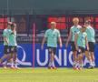 Antrenament oficial Austria // foto: Cezar Titor (GSP)
