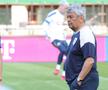 Antrenamentul oficial al echipei naţionale la Viena FOTO: Ionuţ Iordache (GSP)