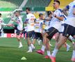 Antrenamentul oficial al echipei naţionale la Viena FOTO: Ionuţ Iordache (GSP)