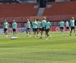 Antrenament oficial Austria // foto: Cezar Titor (GSP)