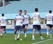 Antrenamentul oficial al echipei naţionale la Viena FOTO: Ionuţ Iordache (GSP)
