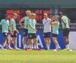 Antrenament oficial Austria // foto: Cezar Titor (GSP)
