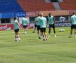 Antrenament oficial Austria // foto: Cezar Titor (GSP)