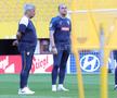 Antrenamentul oficial al echipei naţionale la Viena FOTO: Ionuţ Iordache (GSP)