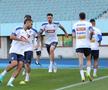 Antrenamentul oficial al echipei naţionale la Viena FOTO: Ionuţ Iordache (GSP)