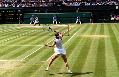 Wimbledon se joacă pe GSP.ro » Tradiție mai presus de orice: regulile All England Club, de la Middle Sunday și reverența spre loja regală până la dungile colorate de doar un centimetru