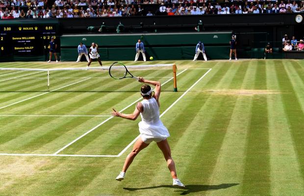 Wimbledon se joacă pe GSP.ro » Tradiție mai presus de orice: regulile All England Club, de la Middle Sunday și reverența spre loja regală până la dungile colorate de doar un centimetru