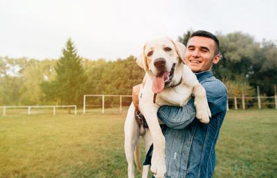 Cele mai frecvente boli care afectează câinii
