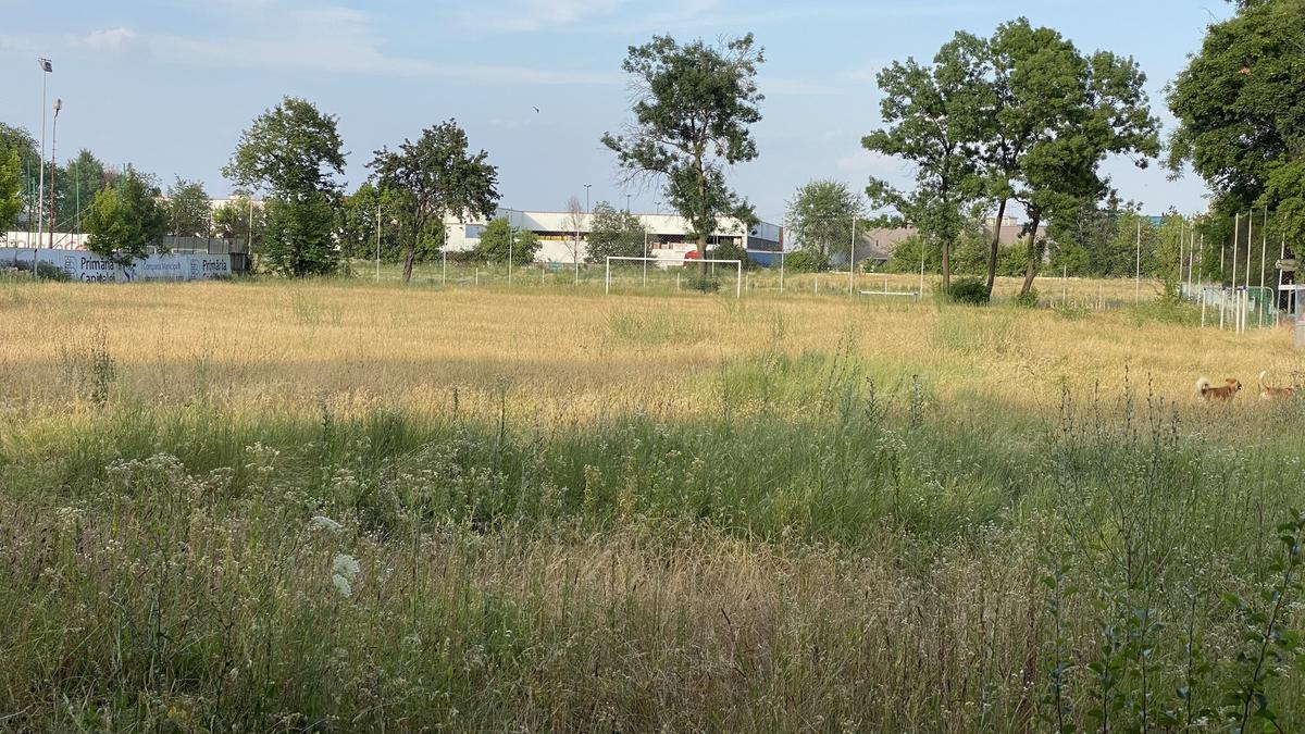 CSM București își construiește sală multifuncțională! Cât costă și în ce zonă a Capitalei va fi ridicată