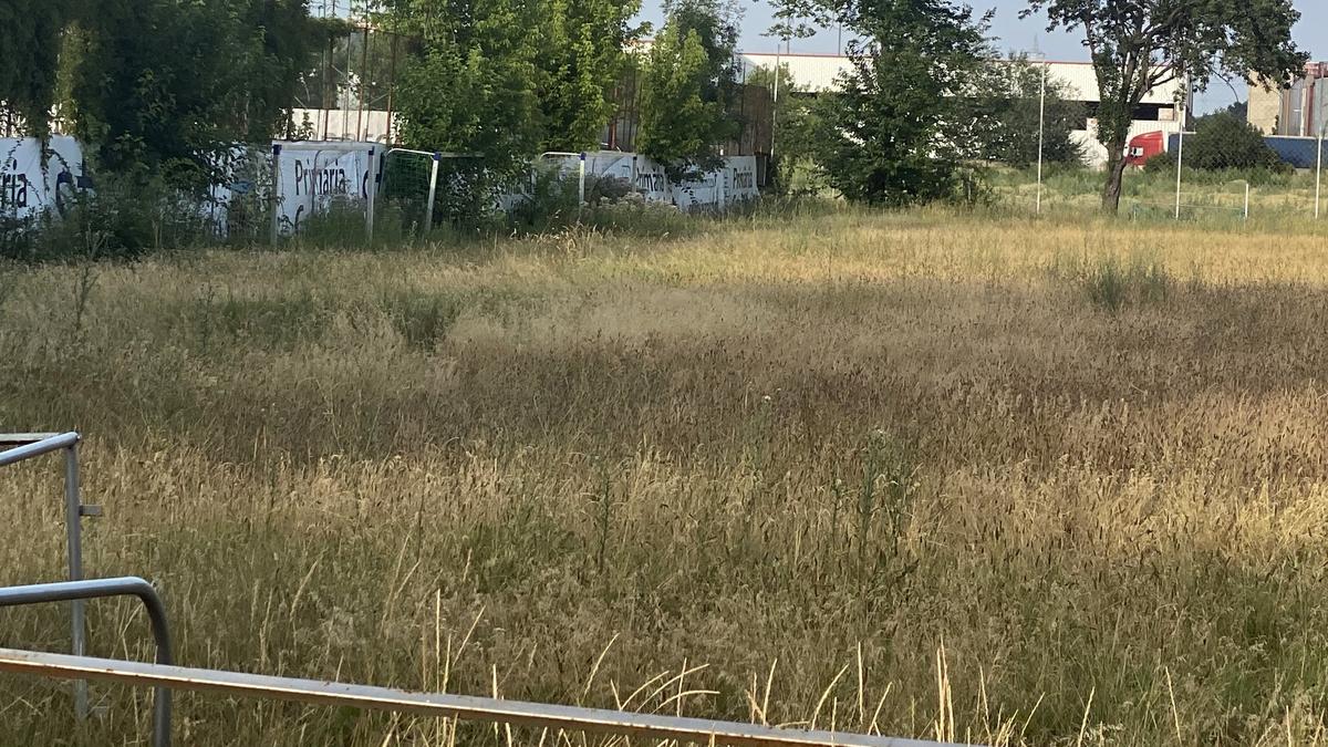 CSM București își construiește sală multifuncțională! Cât costă și în ce zonă a Capitalei va fi ridicată