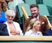 Simona Halep - Amanda Anisimova, semifinala Wimbledon 2022