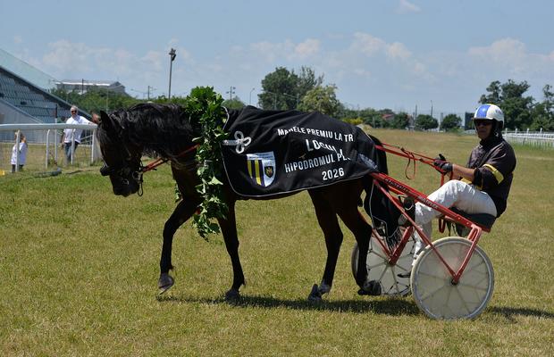 Și caii se dopează, nu-i așa? Scandal imens pe hipodromul de la Ploiești: câștigătorul Derby-ului, ascuns de controlul antidoping + „Funcționează ilegal! Îi închid!”