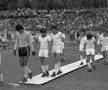 FC Argeș, la 68 de ani. Ce recorduri au stabilit piteștenii în fotbalul românesc?