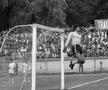 FC Argeș, la 68 de ani. Ce recorduri au stabilit piteștenii în fotbalul românesc?
