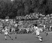 FC Argeș, la 68 de ani. Ce recorduri au stabilit piteștenii în fotbalul românesc?