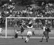 FC Argeș, la 68 de ani. Ce recorduri au stabilit piteștenii în fotbalul românesc?