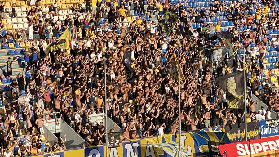 9.300 de fani au fost pe stadion la meciul cu Farul 10 informații de la Petrolul - Farul » Derapaje rasiste ale fanilor prahoveni, Hagi cu bodyguardul pe bancă și fuga jucătorilor de declarații