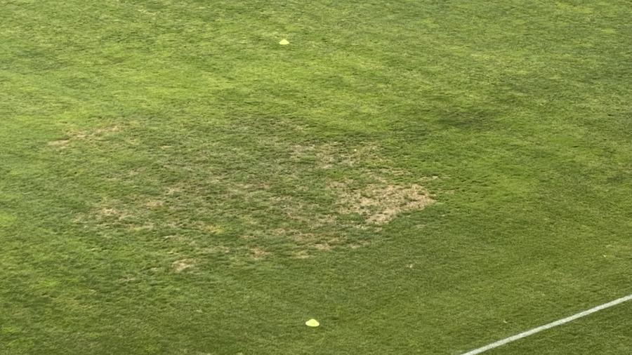 Pe „Ilie Oană” nu s-a schimbat niciodată gazonul 10 informații de la Petrolul - Farul » Derapaje rasiste ale fanilor prahoveni, Hagi cu bodyguardul pe bancă și fuga jucătorilor de declarații