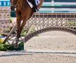 Concursul de sărituri peste obstacole de la Versailles FOTO Raed Krishan