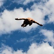 Cătălin Preda plutind peste Paris la Campionatele Europene de Natație FOTO Imago Images