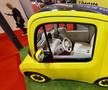 Mașina electrică Astraux AL6 e prezentă la Salonul Auto de la București. Foto: GSP.RO