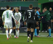 Mirel Rădoi, eliminat în Rapid Viena - Universitatea Craiova