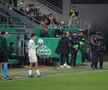 Mirel Rădoi, eliminat în Rapid Viena - Universitatea Craiova