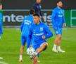 Universitatea Craiova, antrenament oficial la Rapid Viena înaintea meciului // foto: Facebook