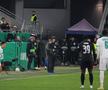 Mirel Rădoi, eliminat în Rapid Viena - Universitatea Craiova