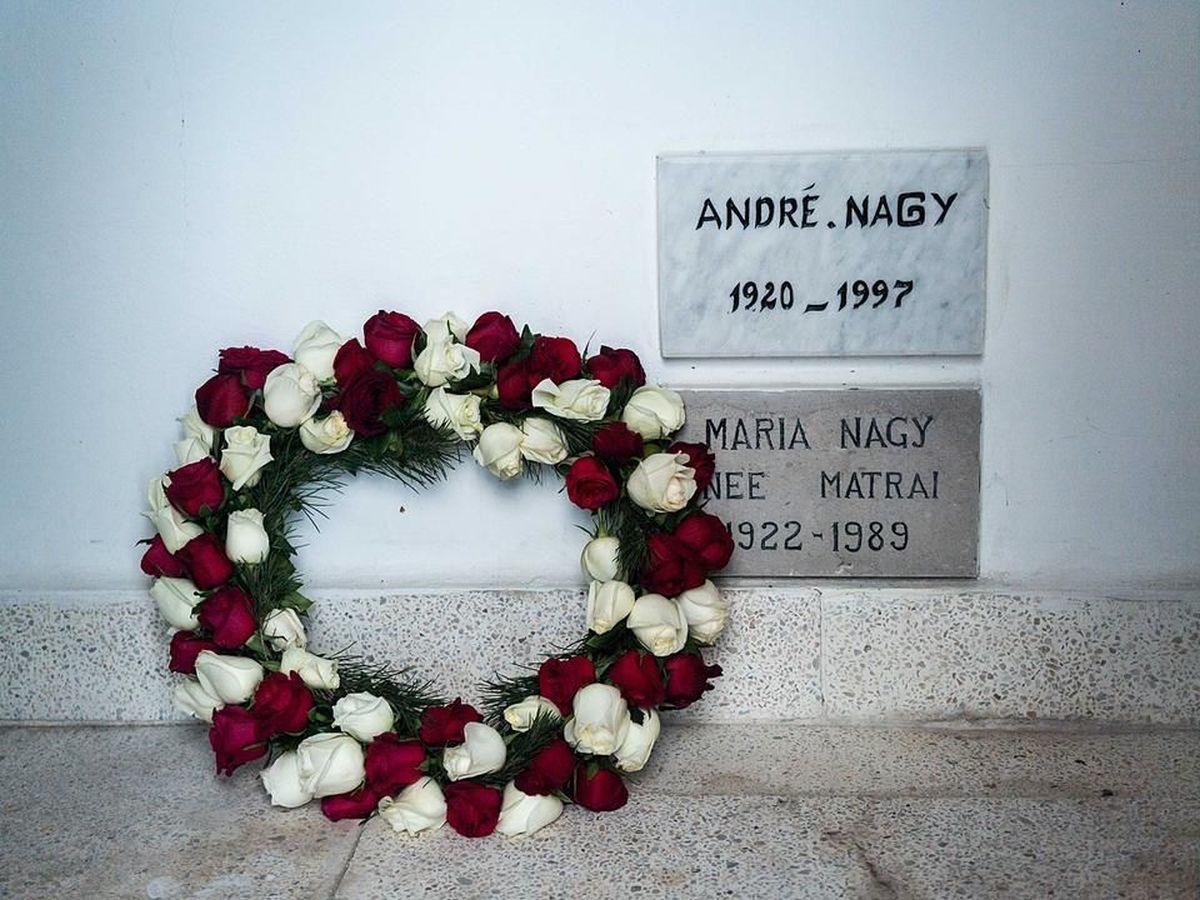 Andrej Prean Nagy - Marseille, Bayern Munchen