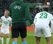 Mirel Rădoi, eliminat în Rapid Viena - Universitatea Craiova