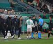 Mirel Rădoi, eliminat în Rapid Viena - Universitatea Craiova