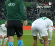 Mirel Rădoi, eliminat în Rapid Viena - Universitatea Craiova
