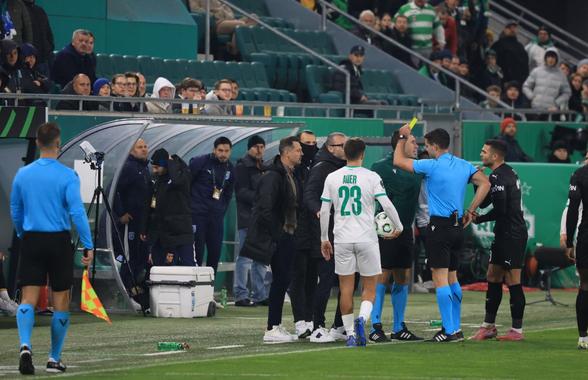 Mirel Rădoi, eliminat după o criză de nervi! A urlat la un jucător advers