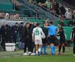 Mirel Rădoi a fost eliminat în Rapid Viena - Universitatea Craiova / Foto: Ionuț Iordache GSP
