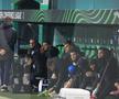 Mirel Rădoi în pauza meciului dintre Rapid Viena - Universitatea Craiova / Foto: Ionuț Iordache (GSP)