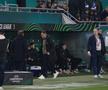 Mirel Rădoi, eliminat în Rapid Viena - Universitatea Craiova