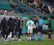Mirel Rădoi a fost eliminat în Rapid Viena - Universitatea Craiova / Foto: Ionuț Iordache GSP