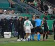 Mirel Rădoi, eliminat în Rapid Viena - Universitatea Craiova