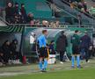 Mirel Rădoi, eliminat în Rapid Viena - Universitatea Craiova