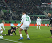 Mirel Rădoi, eliminat în Rapid Viena - Universitatea Craiova