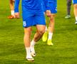 Universitatea Craiova, antrenament oficial la Rapid Viena înaintea meciului // foto: Facebook