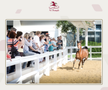 GSP a vizitat clubul ecvestru Al Shaqab din Doha: 400 de angajați, 700 de cai și condiții la care sportivii din România doar visează