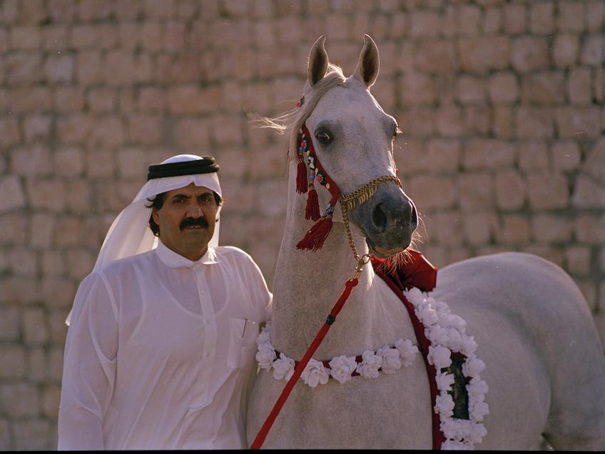 FOTO: Al Shaqab