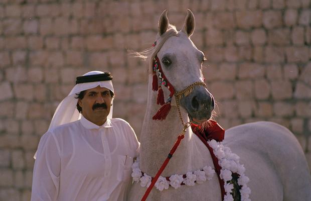 GSP a vizitat clubul ecvestru Al Shaqab din Doha: 400 de angajați, 700 de cai și condiții la care sportivii din România doar visează